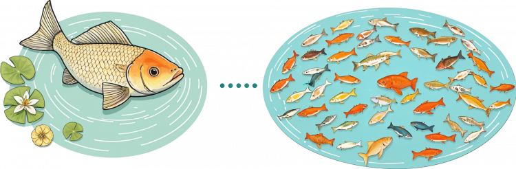 bigfishsmallpond-trans